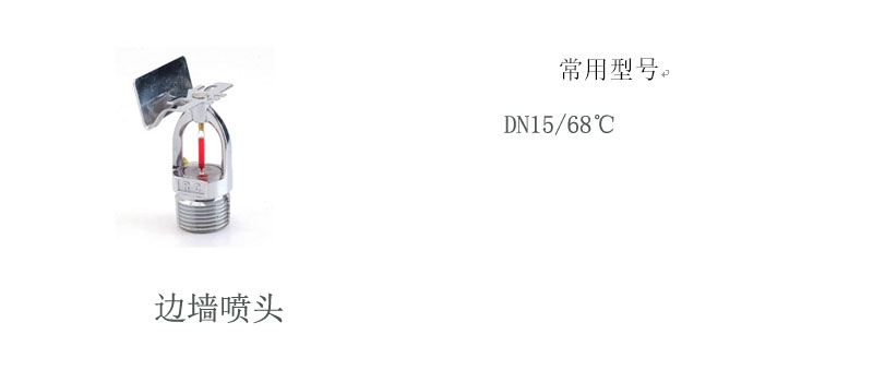 p10_c.jpg