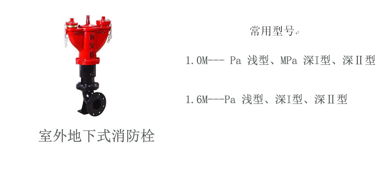 p12_c.jpg